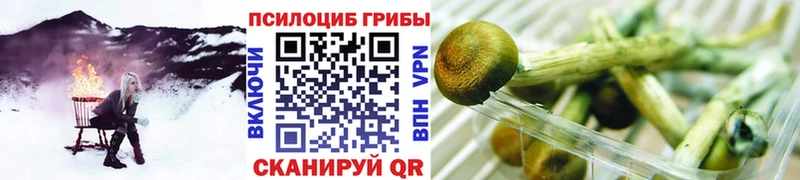 Галлюциногенные грибы ЛСД  где купить наркоту  Серафимович 